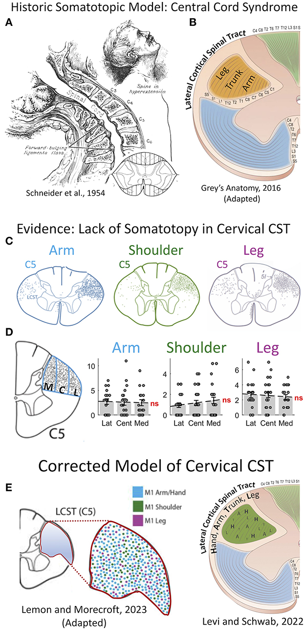 Spinal Disorders: Fundamentals of Diagnosis and Treatment