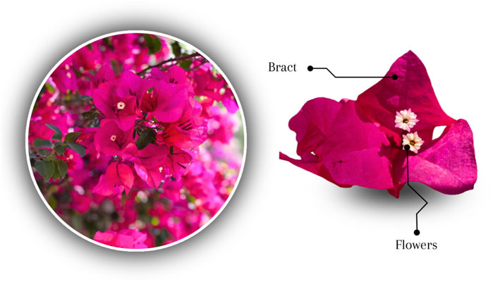 Eshaklarini yalayotgan erkaklar ishtirokidagi qattiq guruh pornosini tomosha qiling. Nemis debauchery uyi porno filmlar