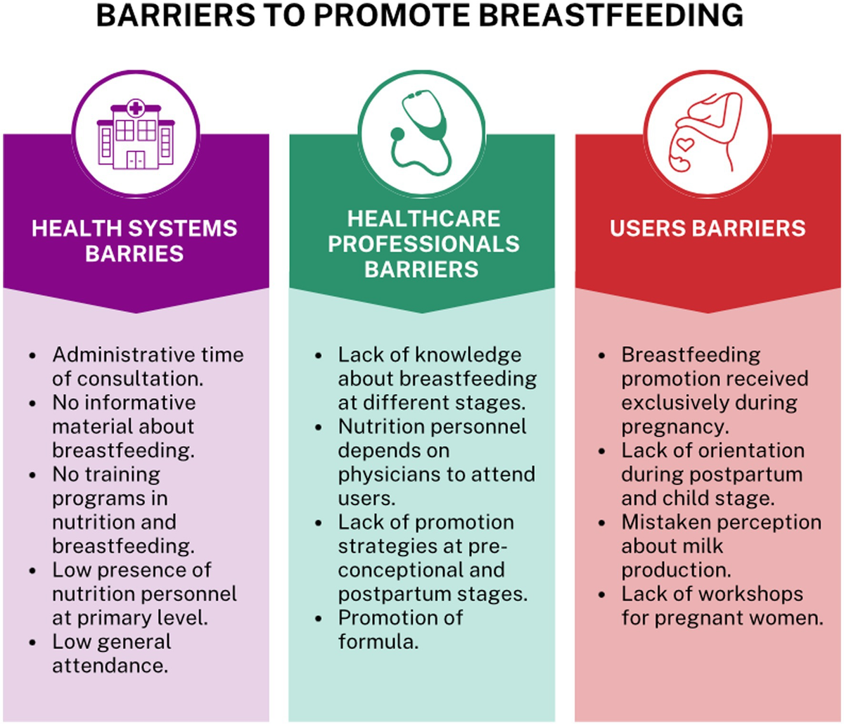 Barriers to promoting breastfeeding in primary health care in Mexico: a qualitative perspective