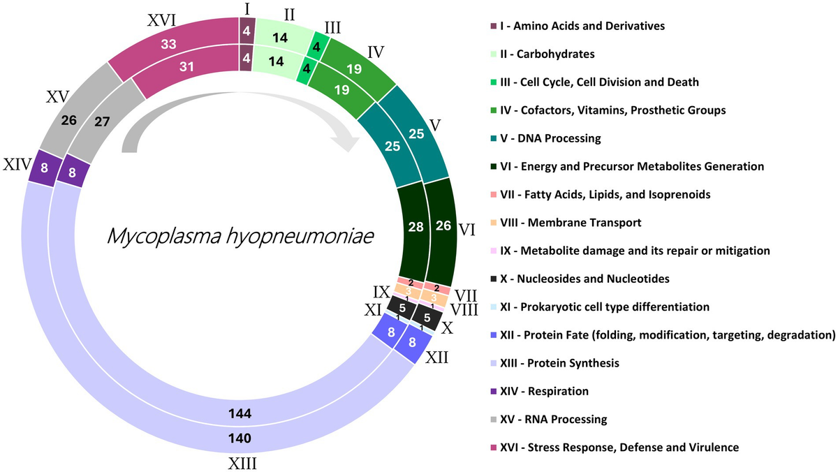 パーティを彩るご馳走や | Frontiers A of characterization virulence and genetic パーツ