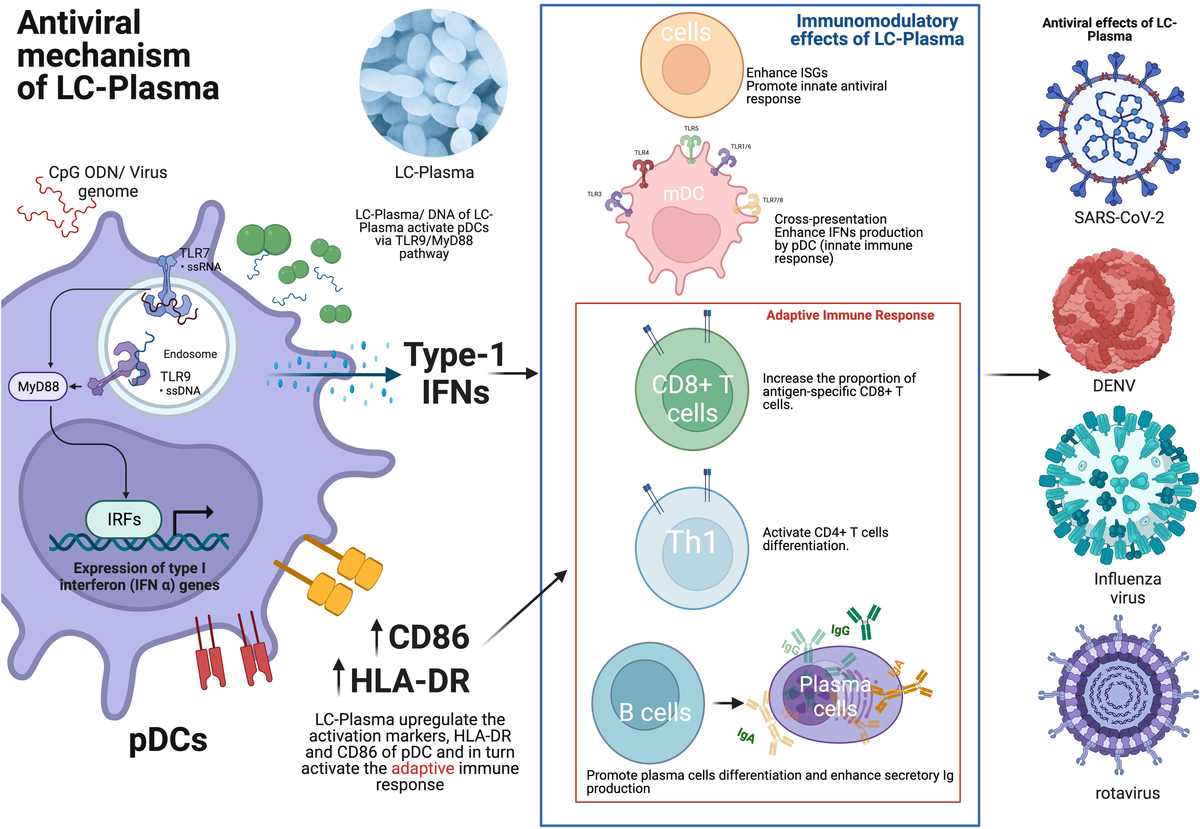 気になる対象商品 effects anti-viral of Overview | Frontiers of via probiotics 文学・小説