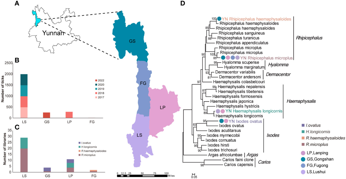 Frontiers | Diversity of species and geographic distribution