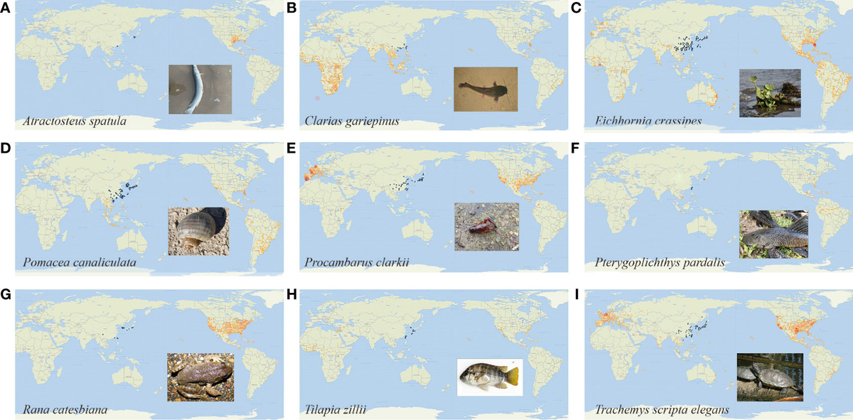 最安価格 and Research | Frontiers prospects DNA environmental of 靴
