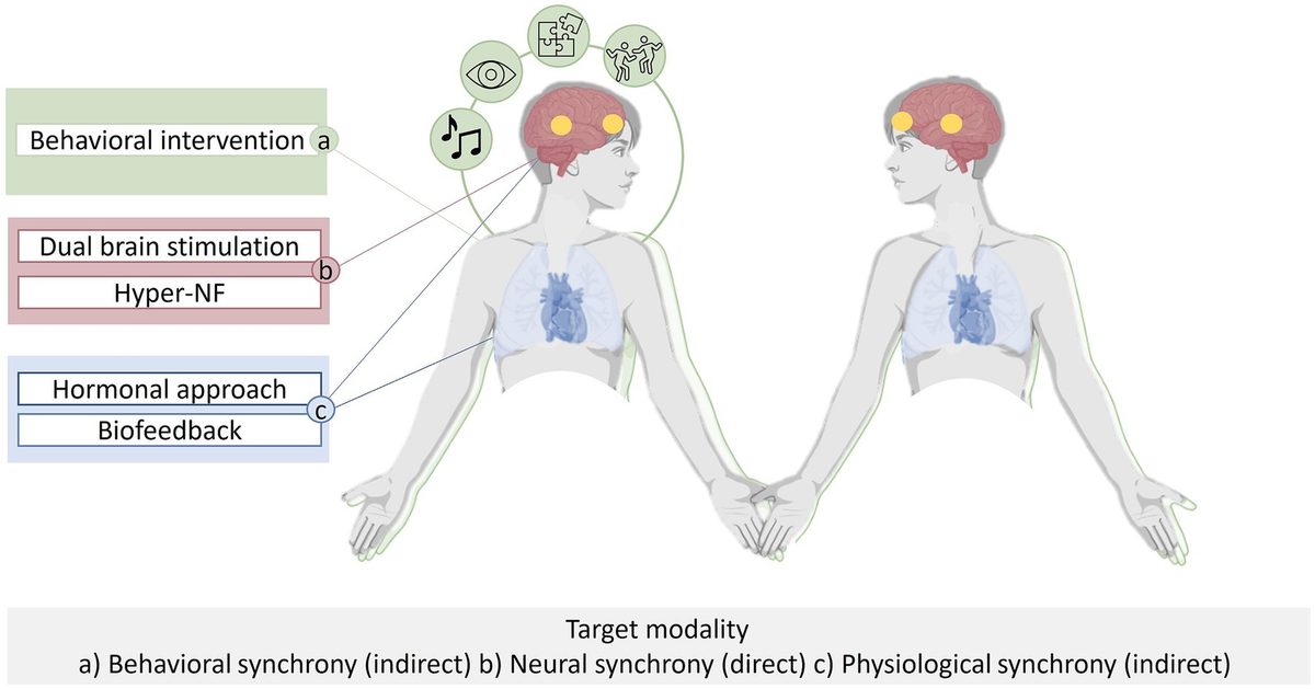 Frontiers | Interpersonal neural synchrony and mental disorders 