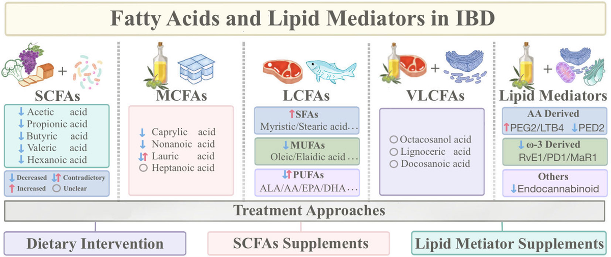 Frontiers | Fatty acids and lipid mediators in inflammatory