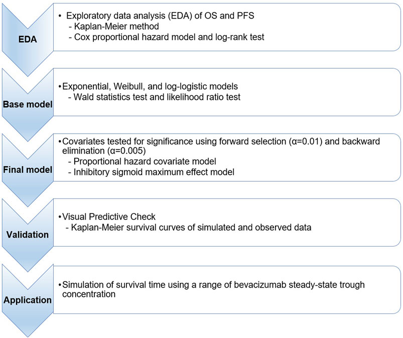 Randomized phase II trial of pemetrexed-cisplatin plus