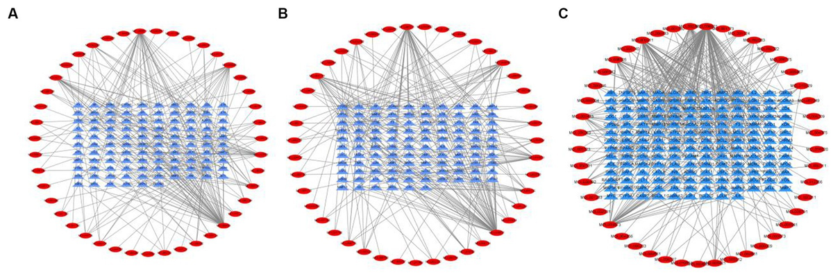 Potential mechanism of tea for treating osteoporosis, osteoarthritis, and rheumatoid arthritis