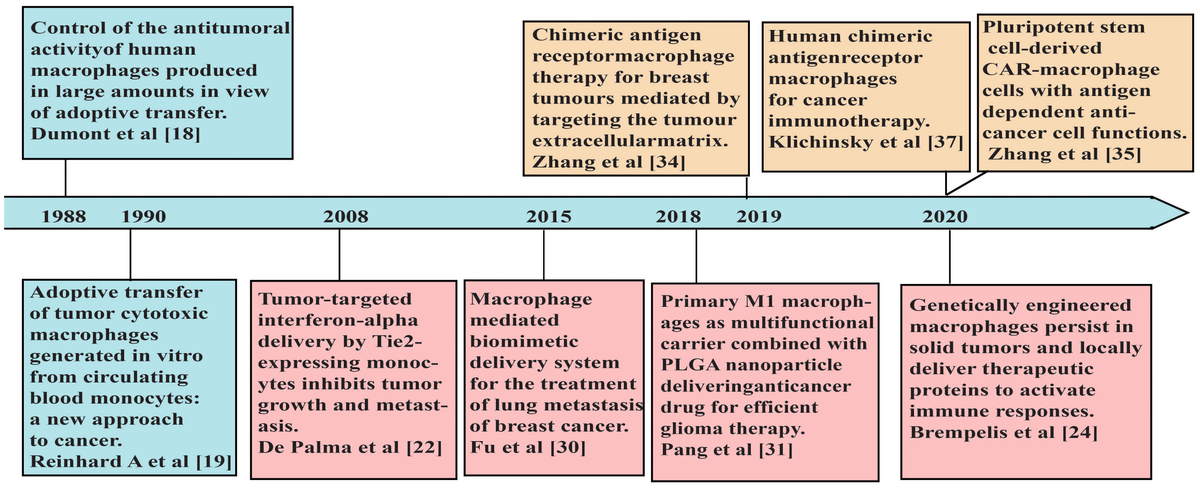 Frontiers | Advancing CAR-based immunotherapies in solid tumors 