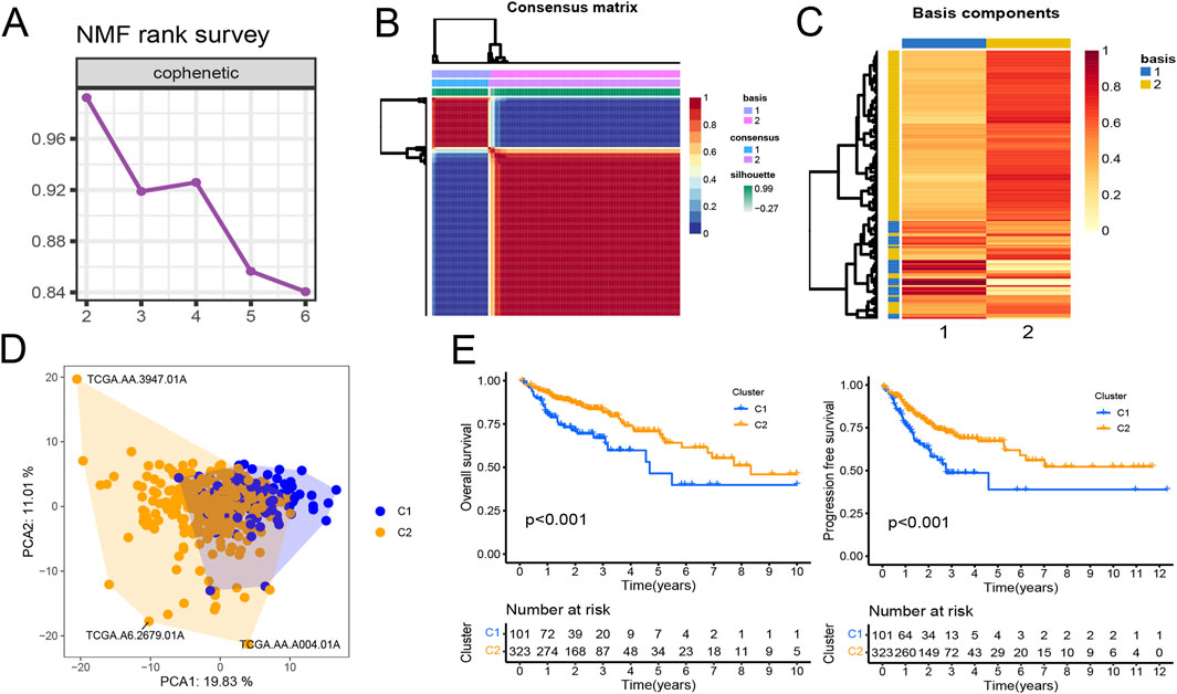 Jin Frontiers | Exploration of the ubiquitination-related