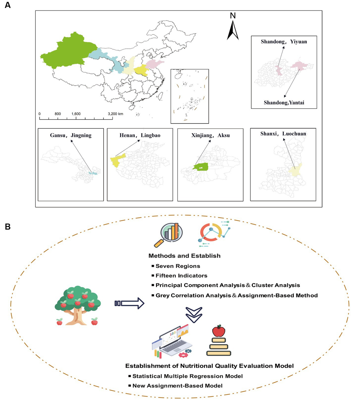 Frontiers | Development of a novel nutritional assessment