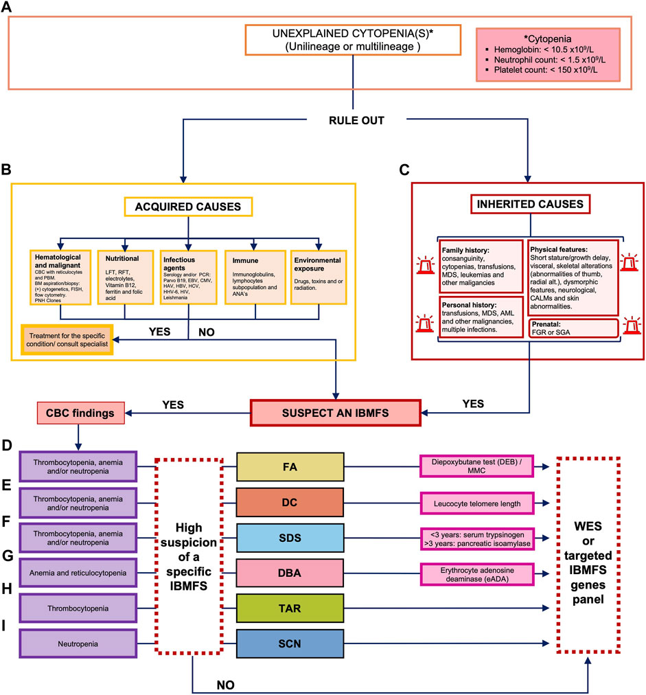 Cassidy and Allanson's Management of Genetic Syndromes