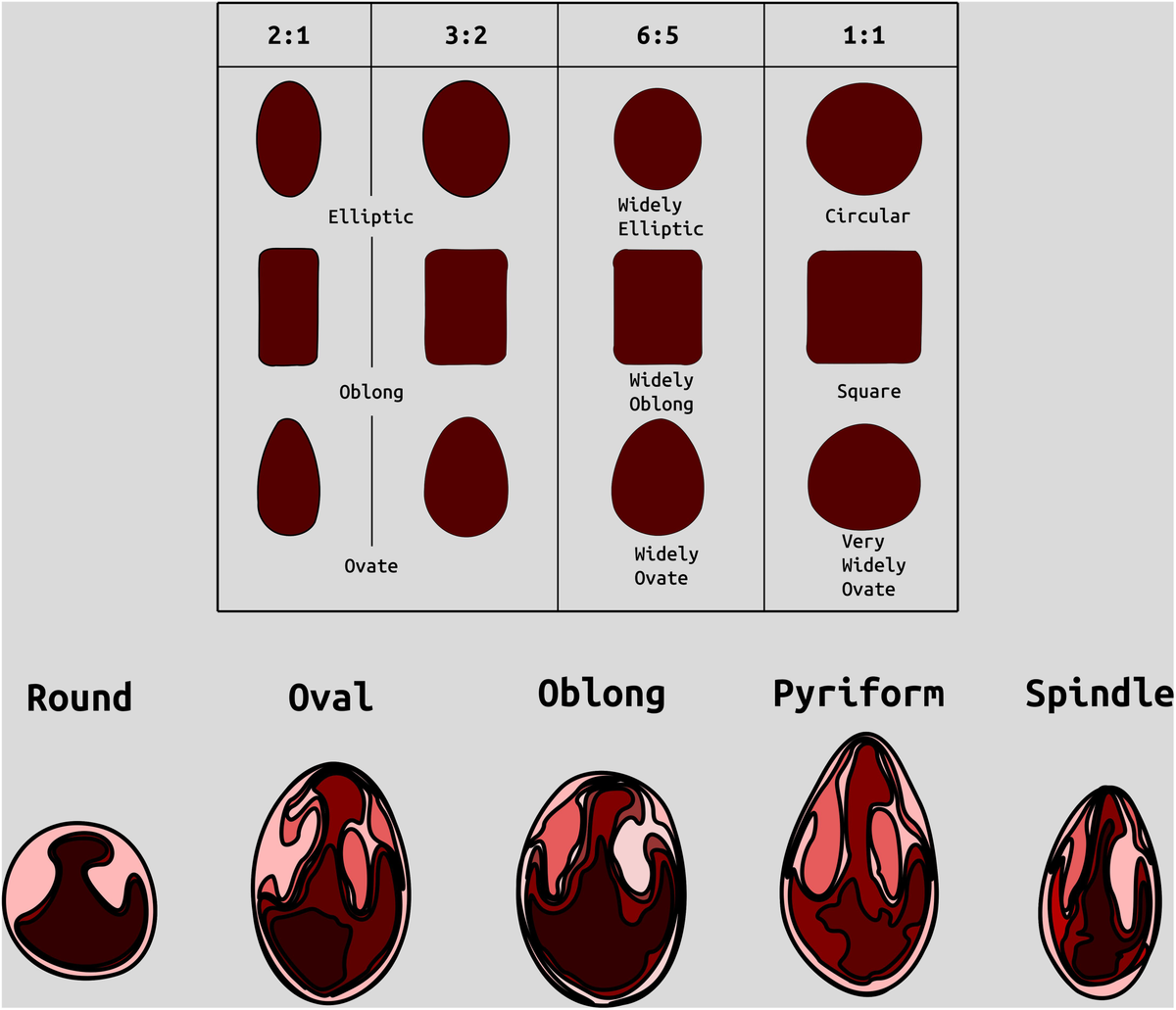 Frontiers Of buds and bits a metaQTL study identifies stable QTL