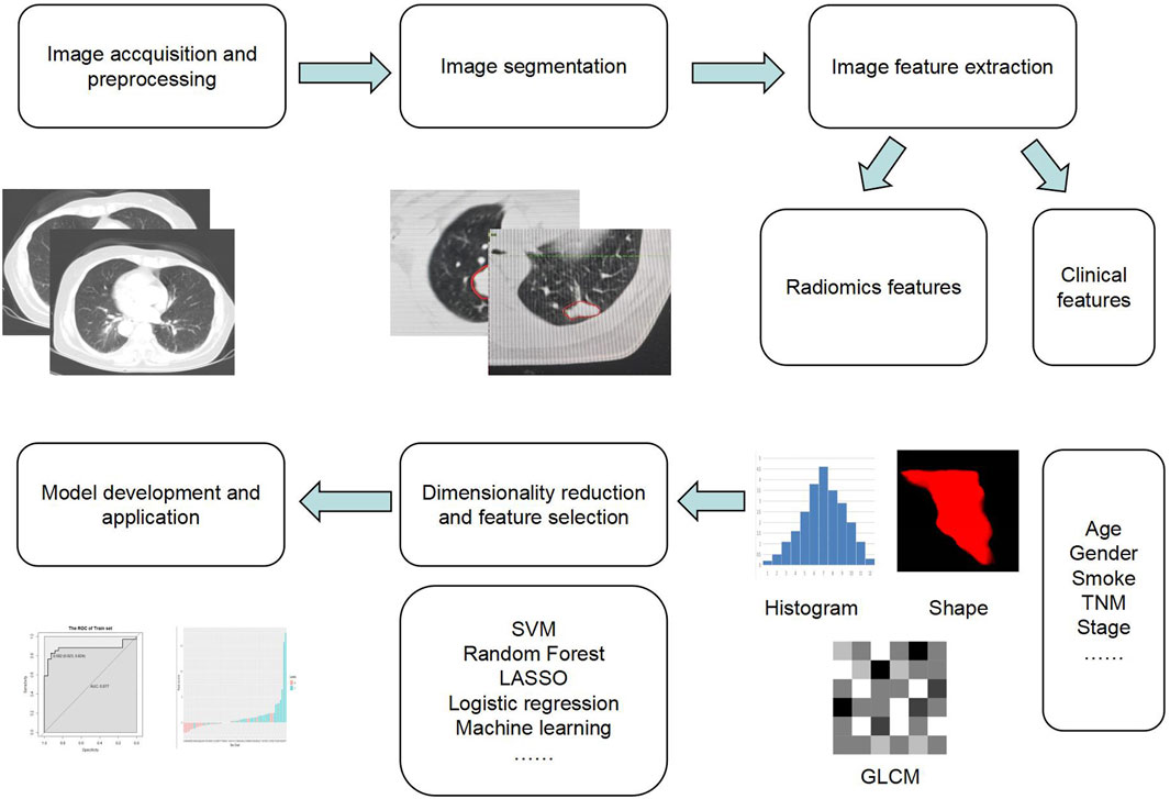 コリアグランドセール Frontiers | Application of radiomics in diagnosis and 和楽器