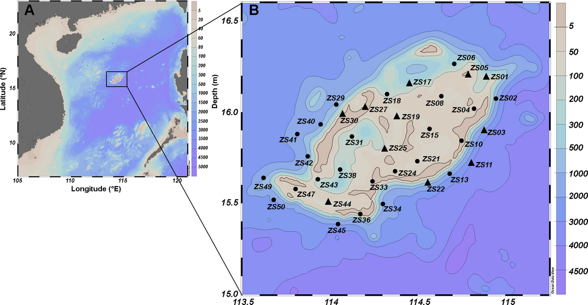 Diagenesis and reservoir quality evolution of the Lower