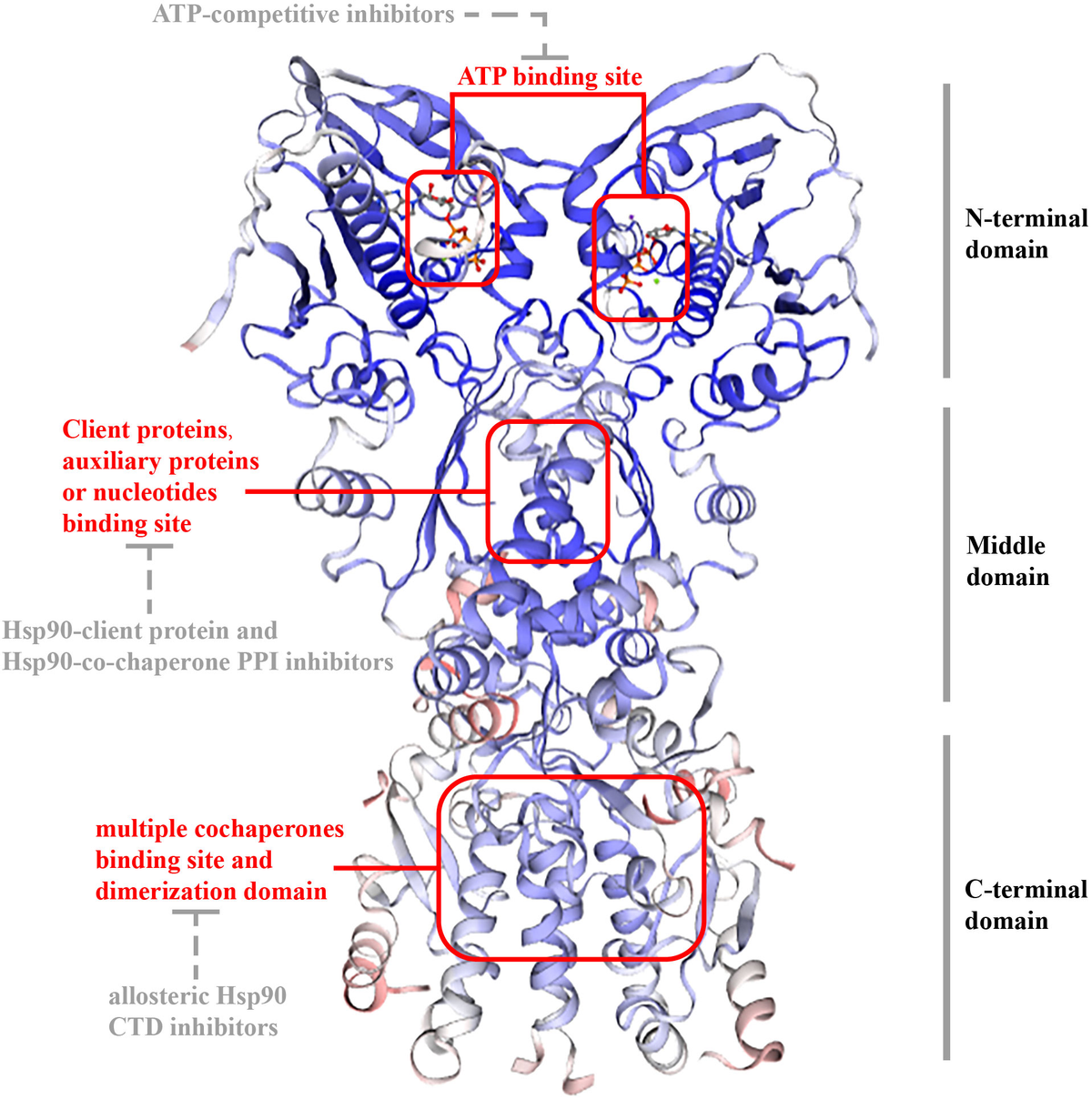 The development of cancers research based on mitochondrial Biology Diagrams