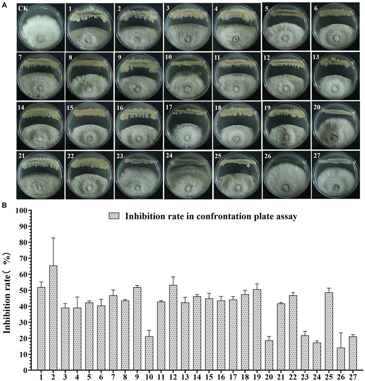 Frontiers | Screening and characterization of biocontrol
