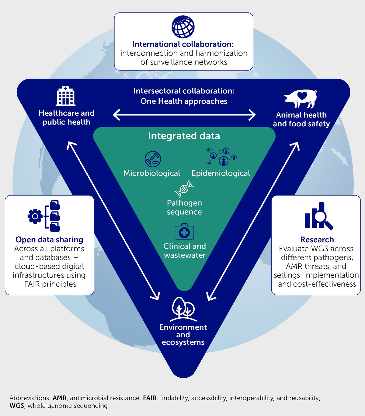 Frontiers | Real-time genomic surveillance for enhanced control of 
