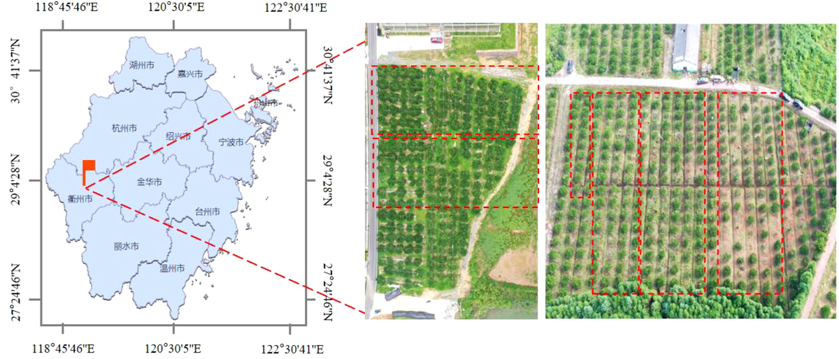 Frontiers Evaluation of the deposition and distribution of spray