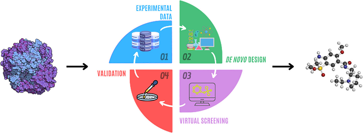 Frontiers | De novo drug design through artificial intelligence: an  introduction