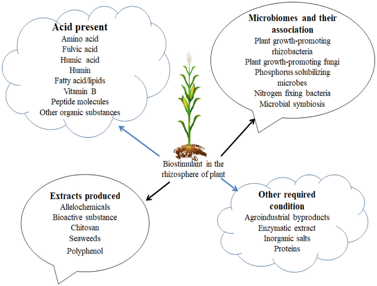 The Chemical Biology of Plant Biostimulants | Wiley