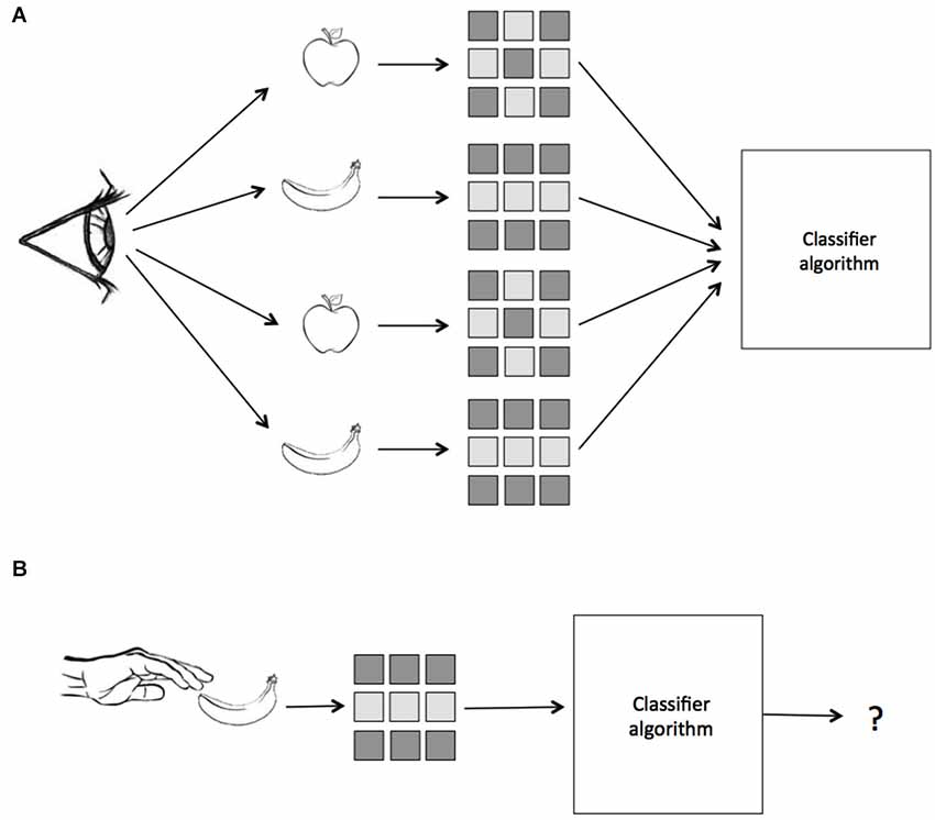 Frontiers | Multivariate cross-classification: applying