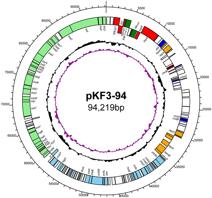ET Frontiers | Comparative genomics analysis of pKF3-94 in Klebsiella