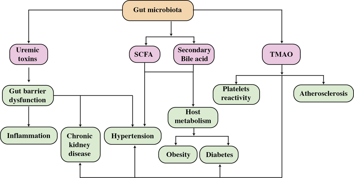 Proteomic meta-analysis unveils new frontiers for biomarkers