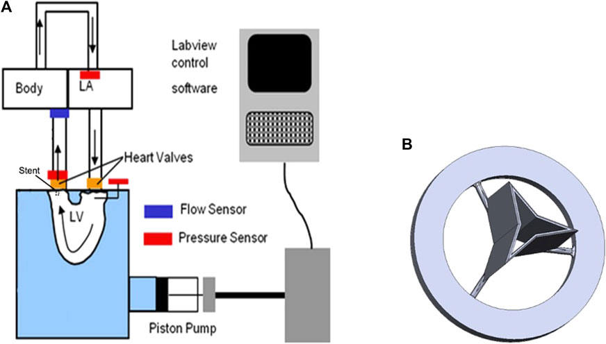 Frontiers | Fluid mechanics of aortic valve incompetence in