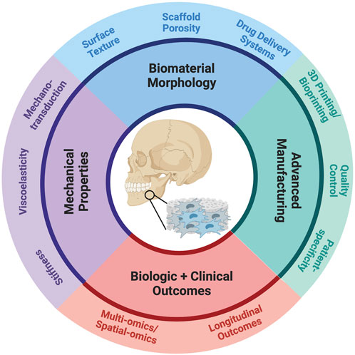 医学書　Biomaterials for Tissue Engineering Engineered biomaterials for in situ tissue regeneration