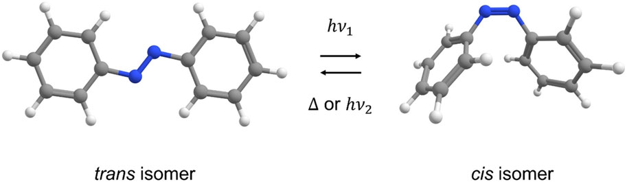 Yalangoch yigit dushda qanday yuviladi