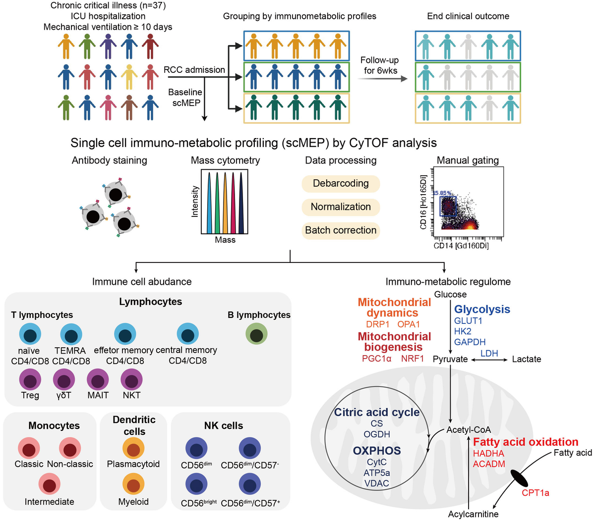 日本全国送料無料商品 | 特集 | of features Immunometabolic | Frontiers natural cells killer 洋書
