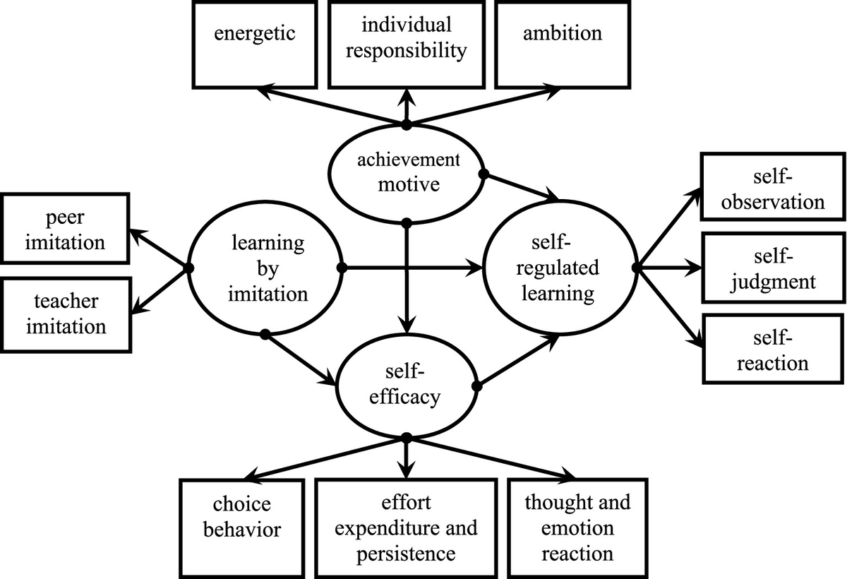 Amazon.com: Psychology of Self-Regulation: Cognitive