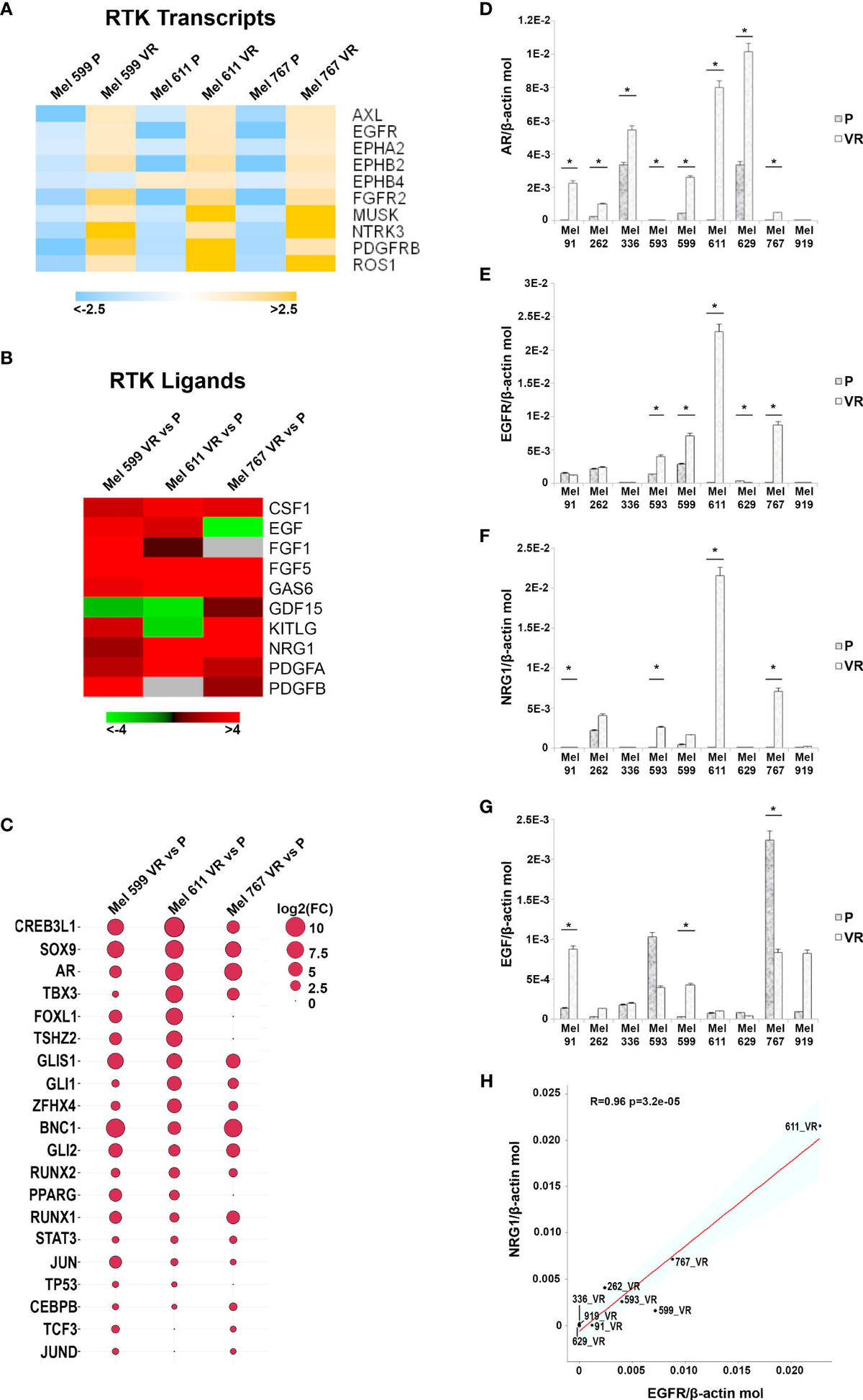 Frontiers Antibody dependent cellular cytotoxicityinducing antiEGFR