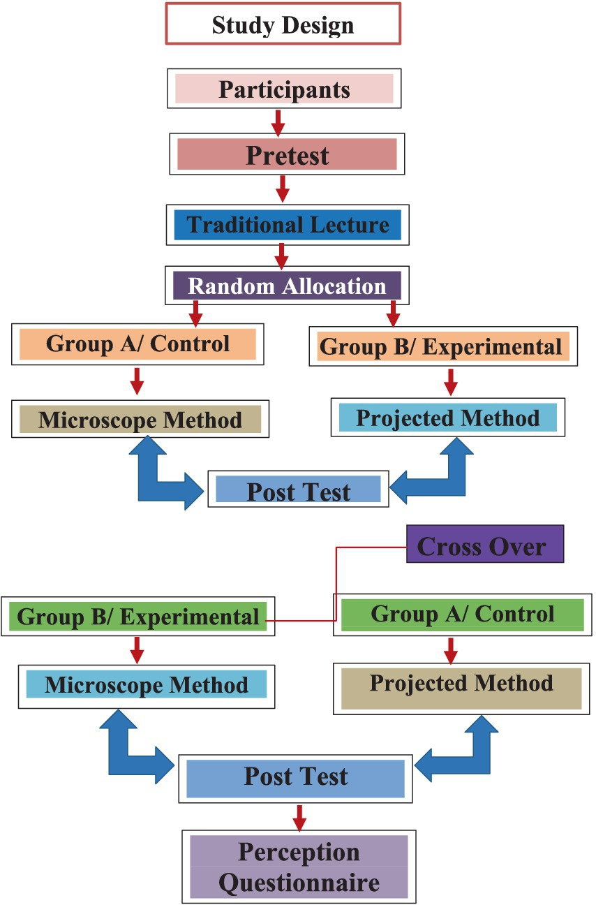 Teaching medical students hematopathology: a randomized crossover study comparing direct inspection by light microscope versus projected images Teaching medical students hematopathology: a randomized crossover study comparing direct inspection by light microscope versus projected images