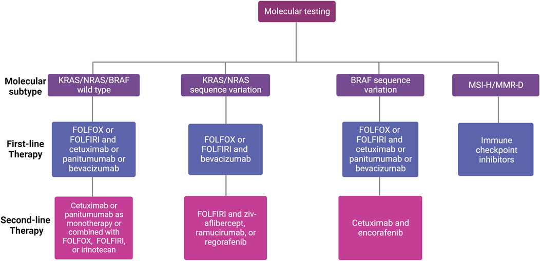 Frontiers | Deciphering treatment resistance in metastatic