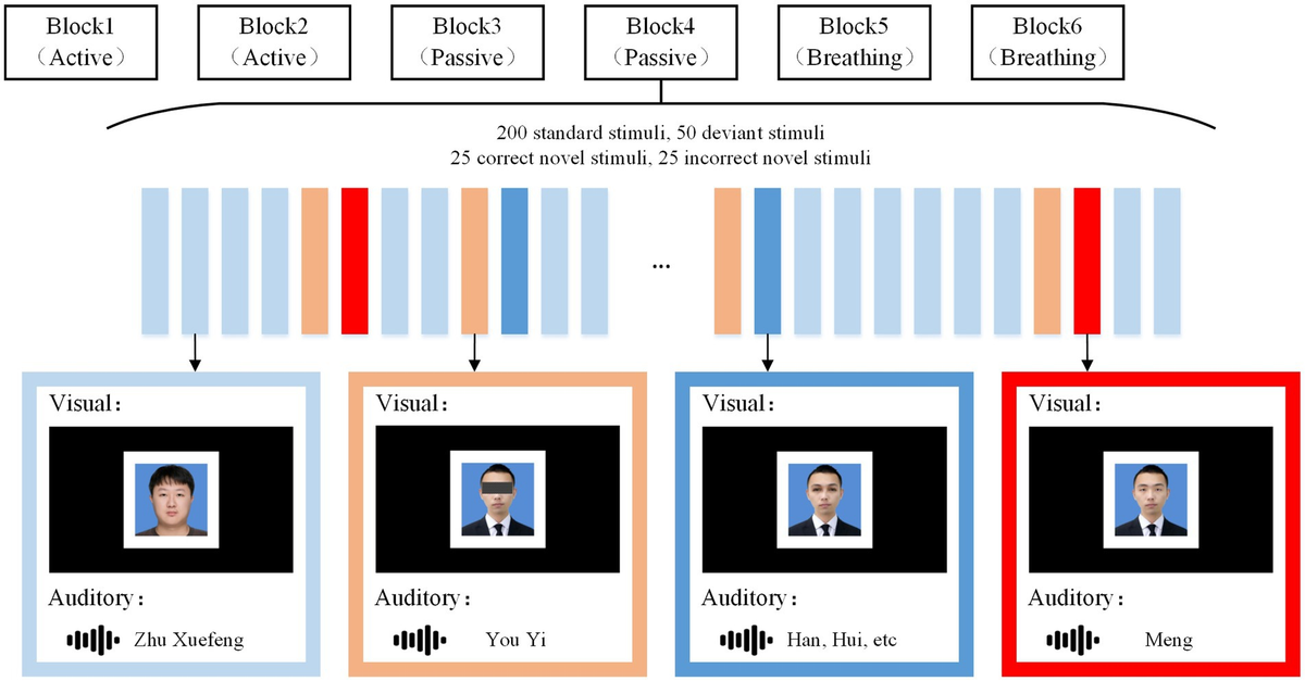 パリコレクション Frontiers | active between differences EEG on study A その他