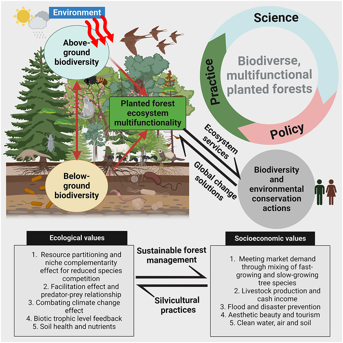 Frontiers | Global change solutions must embrace biodiverse ...