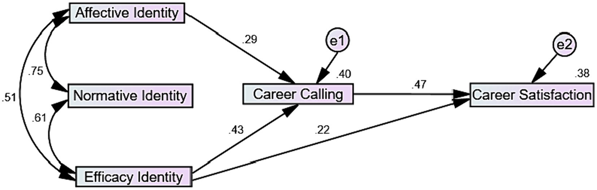 Relationship between teachers’ professional identity and career satisfaction among college teachers: role of career calling