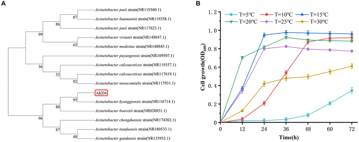 Frontiers | Nitrogen removal capability and mechanism of a Frontiers | Nitrogen removal capability and mechanism of a