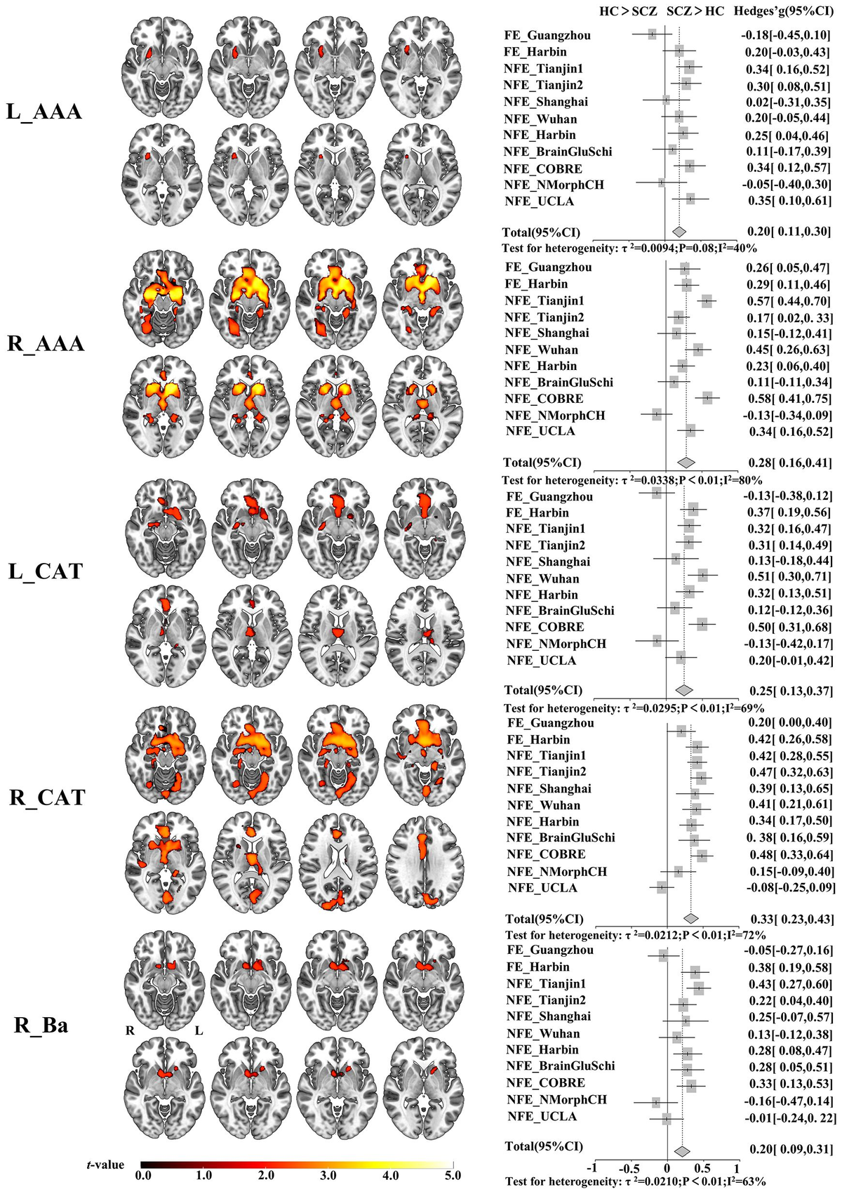 Frontiers | Selective disrupted gray matter volume
