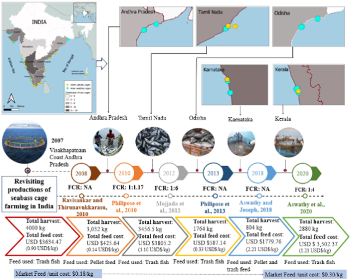 Frontiers | Implications of feed and seed costs in Asian seabass 
