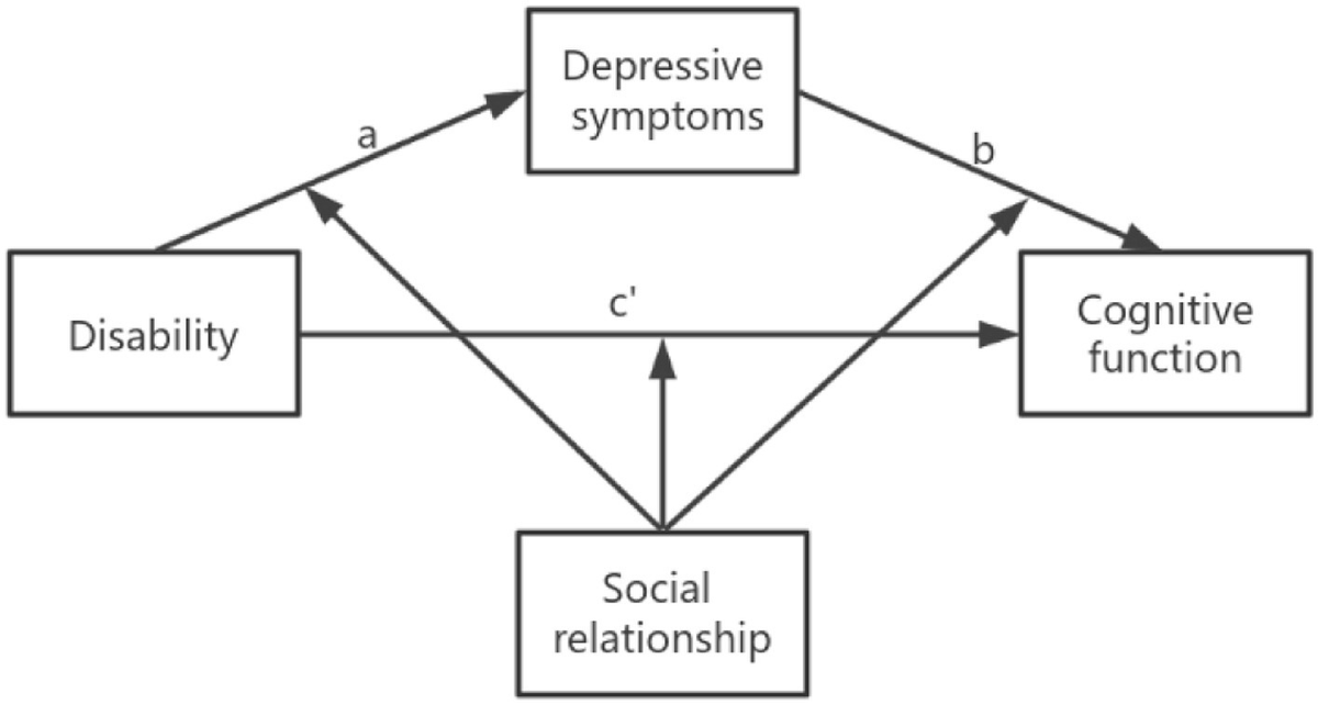 Frontiers | Association between disability and cognitive