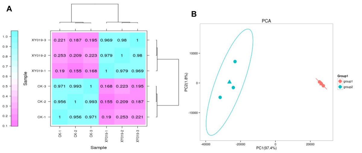 Frontiers Comparative Transcriptomics And Proteomics Analysis Of The Symbiotic Germination Of 1590