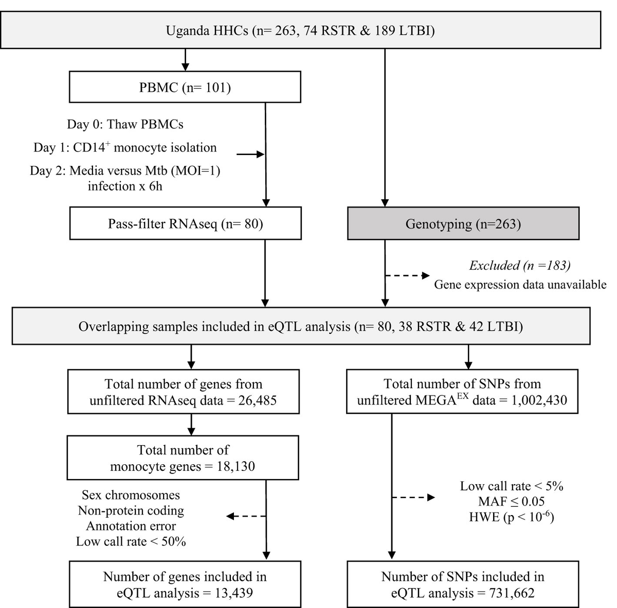 Frontiers | Mycobacterium tuberculosis-dependent monocyte