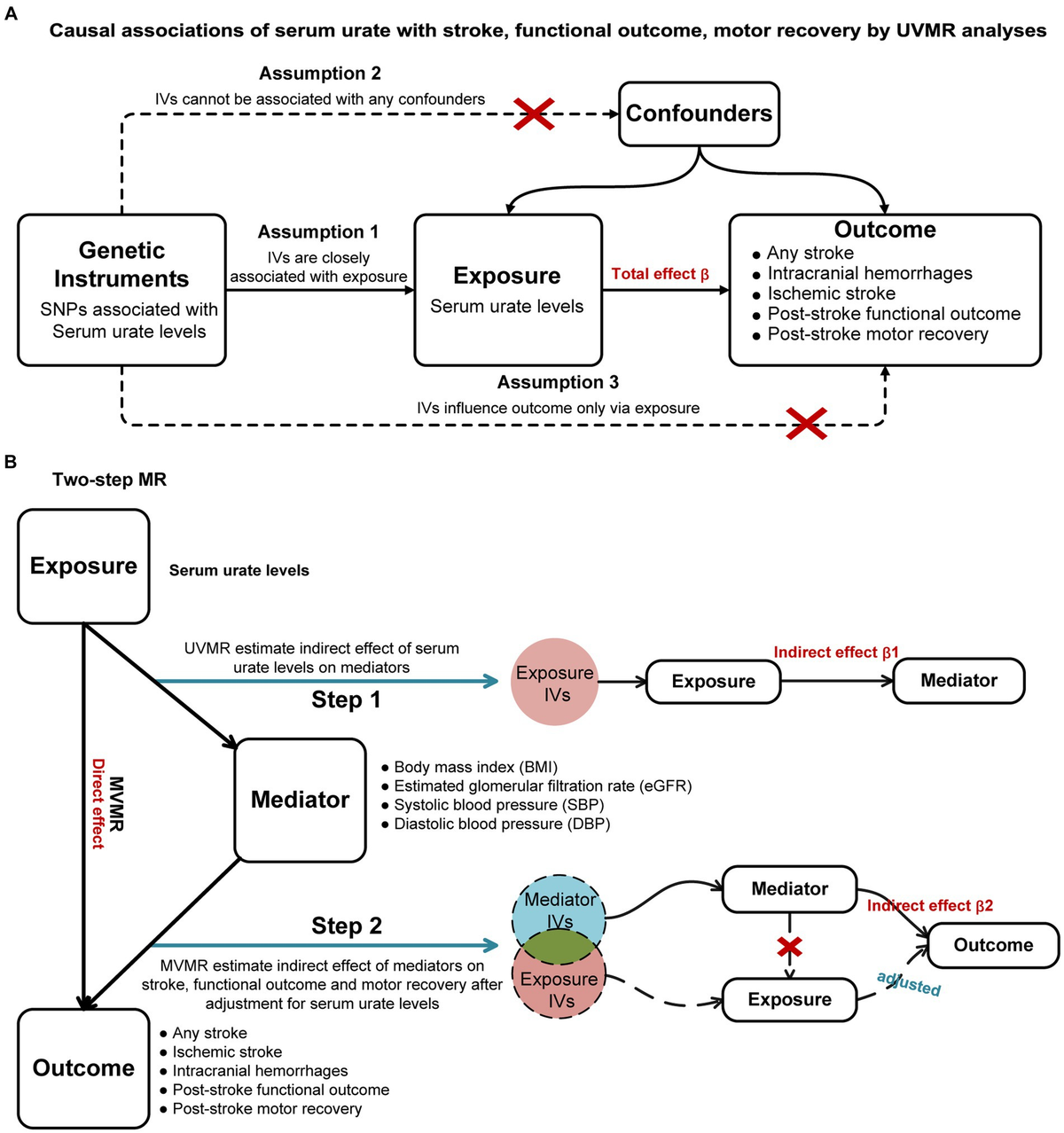 Frontiers | Dual effects of serum urate on stroke risk and
