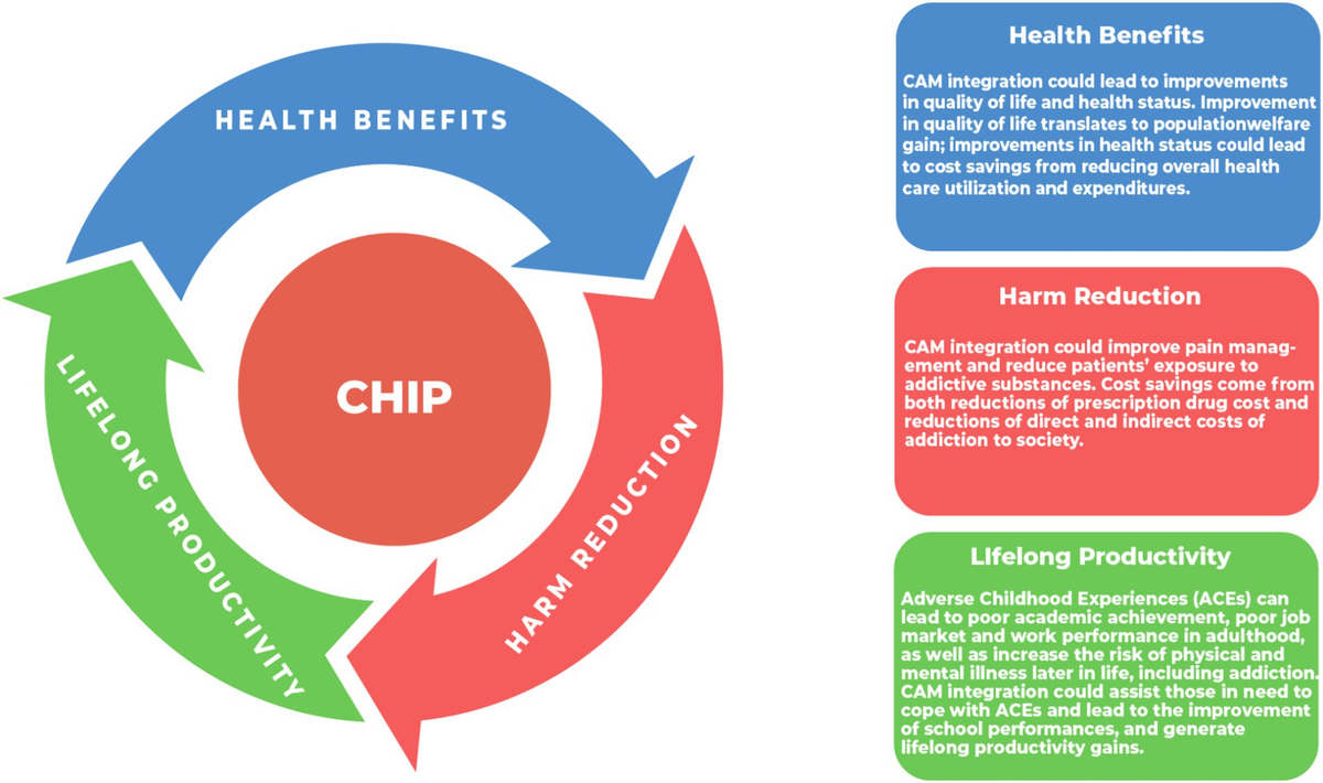 Economic evaluation of acupuncture in treating patients with pain and mental health concerns: the results of the Alberta Complementary Health Integration Project