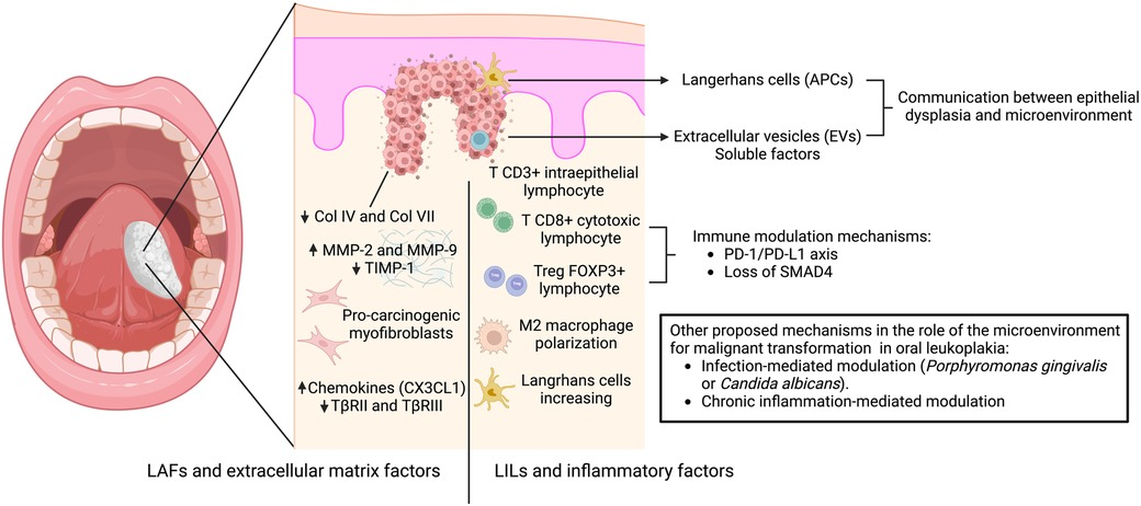 Targeting EZH2 in autoimmune diseases: unraveling epigenetic