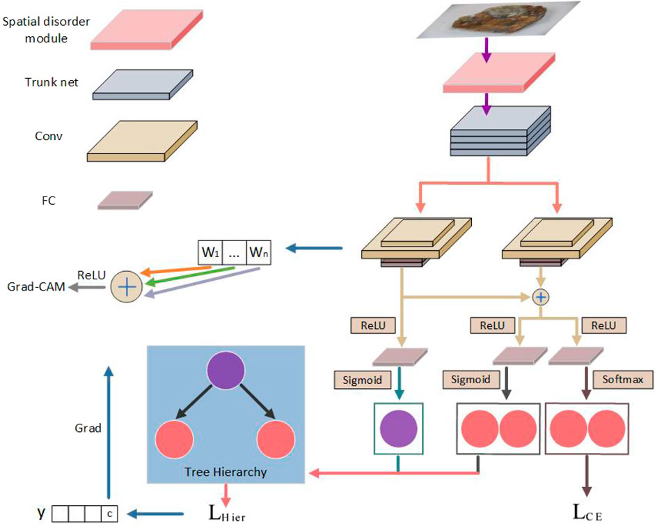 Frontiers SHN rock image classification and feature visualization