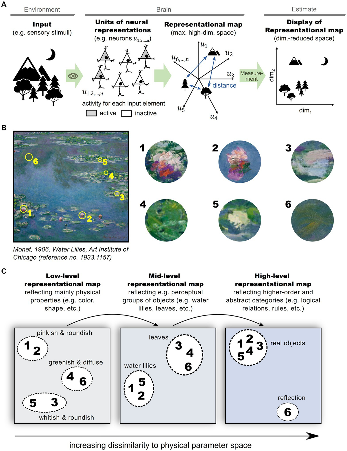 Frontiers | Representational maps in the brain: concepts, approaches ...