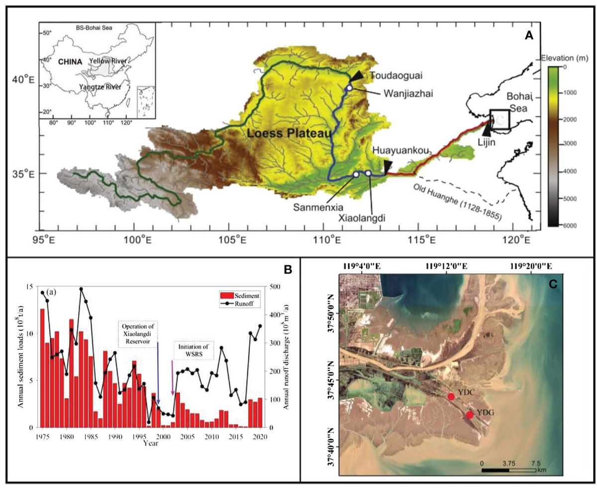 Frontiers | Geochemical characteristics of the modern Yellow Frontiers | Geochemical characteristics of the modern Yellow